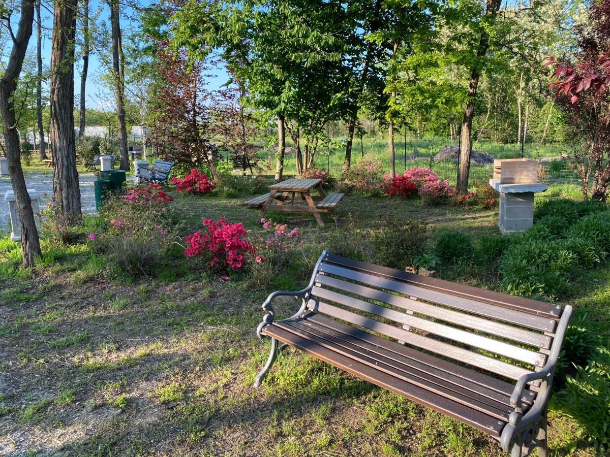 Oasilandia Bed and Breakfast Dorno Buitenkant foto