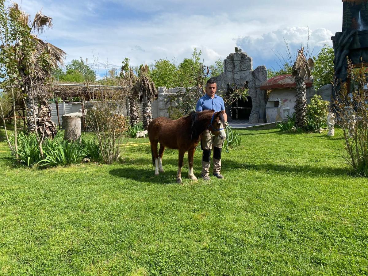 Oasilandia Bed and Breakfast Dorno Buitenkant foto